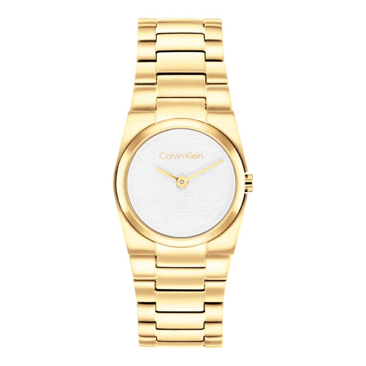 Reloj Calvin Klein 25100122